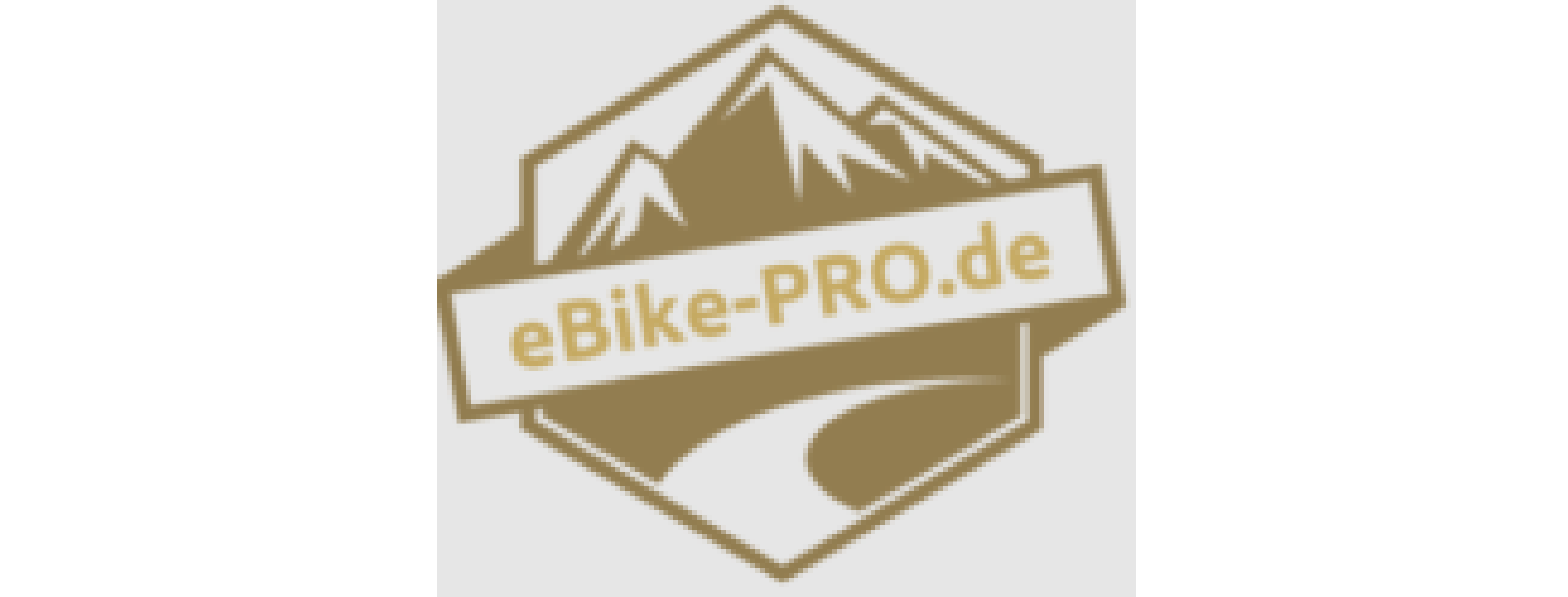 E-Bike Pro
